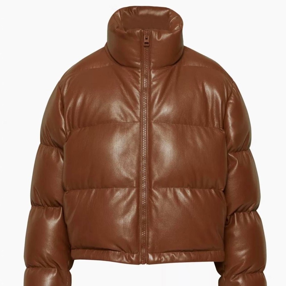 Aritzia Wilfred Vista Puffer